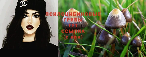 скорость Магас