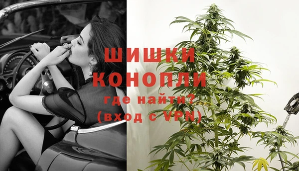 ГАЛЛЮЦИНОГЕННЫЕ ГРИБЫ Липки