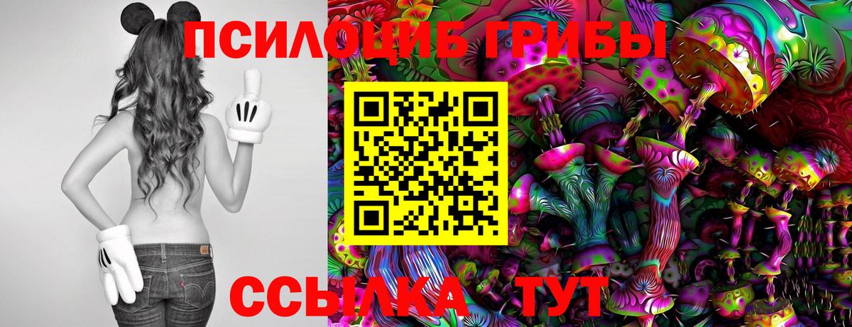 Галлюциногенные грибы мицелий Ачинск