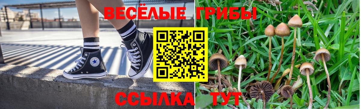 Псилоцибиновые грибы Magic Shrooms  Ачинск 